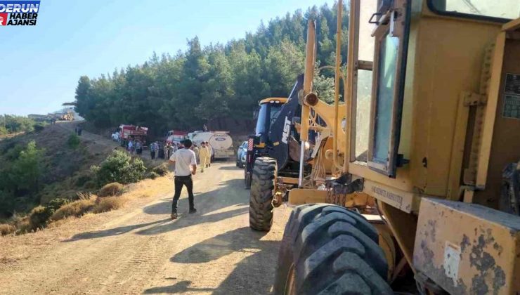 Hatay’da çıkan orman yangını kısa müddette söndürüldü