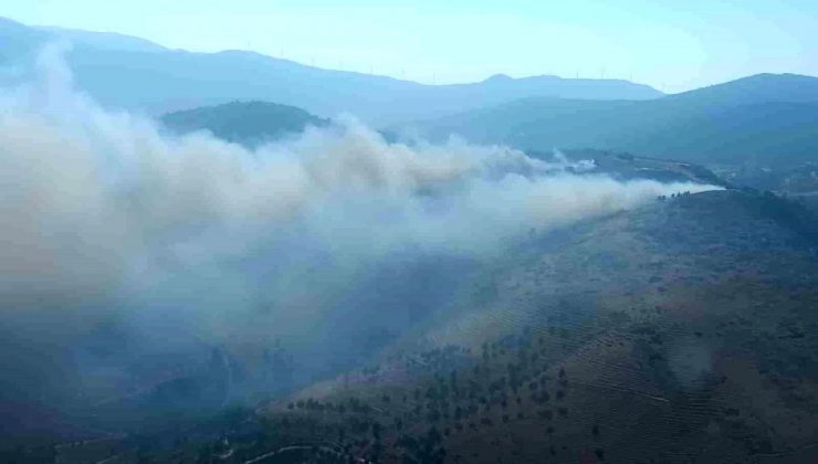 Hatay’da Orman Yangınına Havadan ve Karadan Müdahale