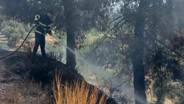 Hatay’da ormanlık alanda çıkan örtü yangını söndürüldü