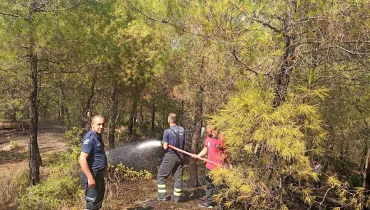 Hatay’da ormanlık alanda çıkan yangın denetim altına alındı