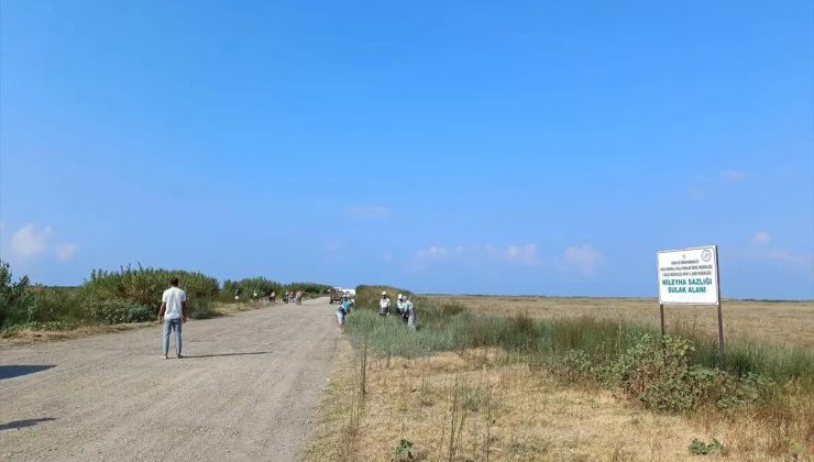 Hatay’daki Mileyha Sulak Alanı Atıklardan Arındırıldı