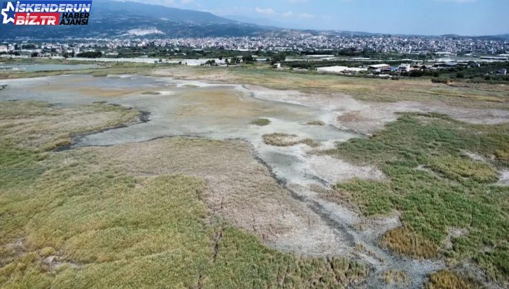 Hatay’daki Milleyha Kuş Cenneti Moloz ve Çöp Yığınlarıyla Doluyor