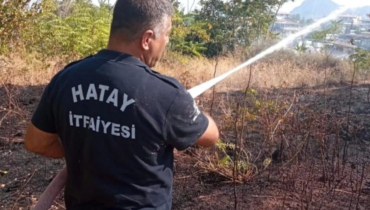 Hatay’ın Defne ilçesinde çıkan bahçe yangını söndürüldü