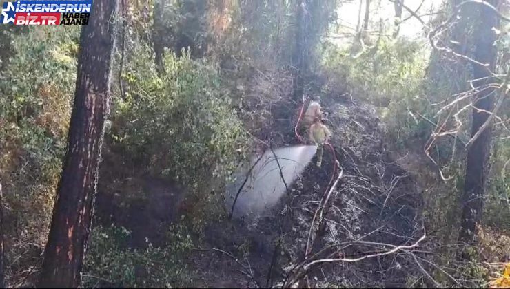 Hatay’ın Dörtyol ilçesinde orman yangını denetim altına alındı