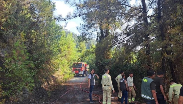 Hatay’ın Dörtyol ilçesinde ormanlık alanda çıkan yangın söndürüldü