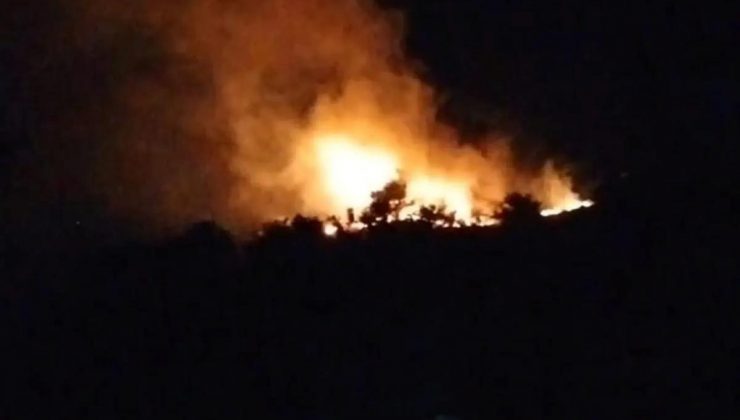 Hatay’ın Kırıkhan ilçesinde ormanlık alanda çıkan yangın söndürüldü