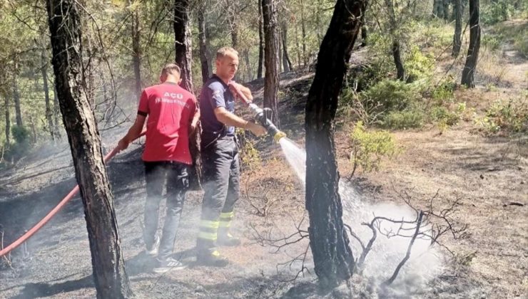 Hatay’ın Yayladağı ilçesinde orman yangını denetim altına alındı