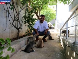 Hayvansever İbrahim Göçer, İtfaiye Gruplarıyla Birlikte Sıkışan Yavru Köpekleri Kurtardı