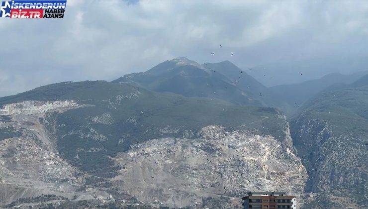 İskenderun semalarında leylek göçü izlendi