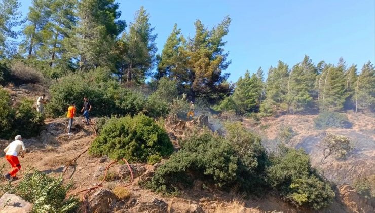 Kırıkhan’da Ormanlık Alanda Çıkan Yangına Havadan ve Karadan Müdahale Başlatıldı