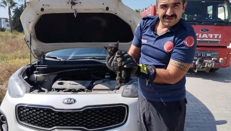 Park halindeki cipin motor kısmına sıkışan kedi yavrusu kurtarıldı