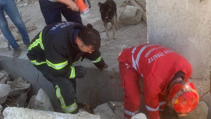 Sarsıntıda sıkışan 5 köpek yavrusu kurtarıldı