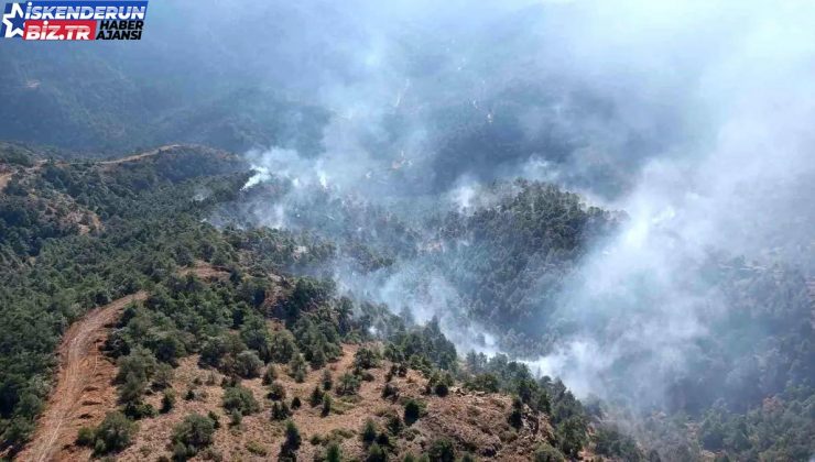 Antakya’da gece başlayan orman yangını denetim altına alındı