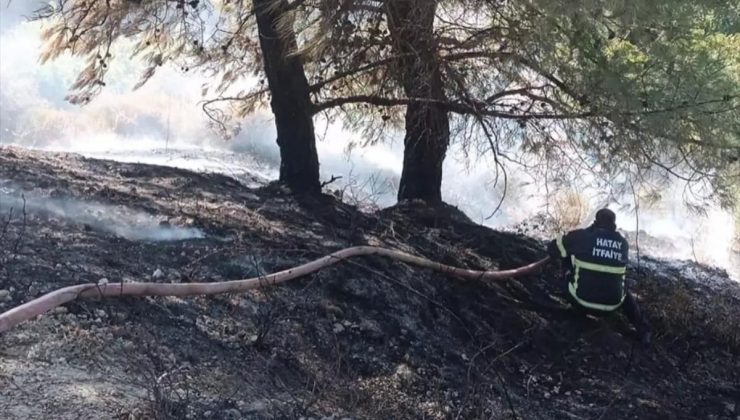 Antakya’da Otluk Alanda Yangın Çıktı, İtfaiye Grupları Müdahale Etti