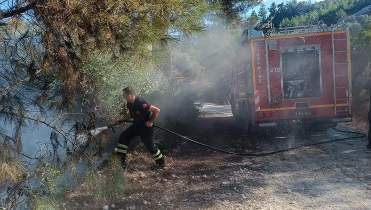 Hatay’da Orman Yangını Söndürüldü