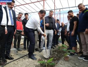 Hatay’da Yeni Muz Serası Açıldı