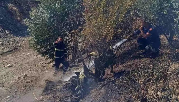 Hatay’da Zeytinlik Yangını Denetim Altına Alındı