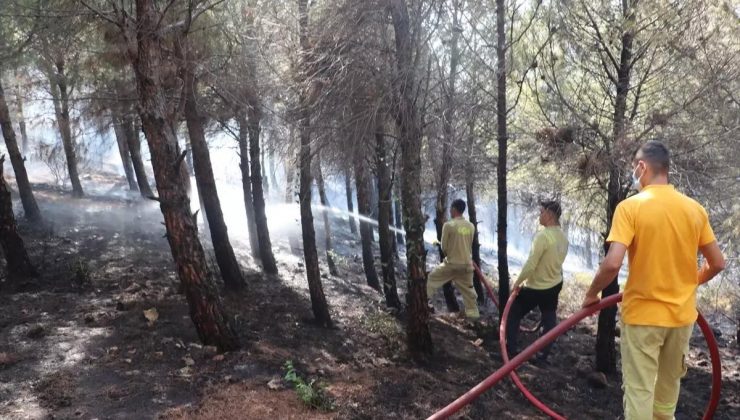 Antakya’da Orman Yangını Denetim Altına Alındı