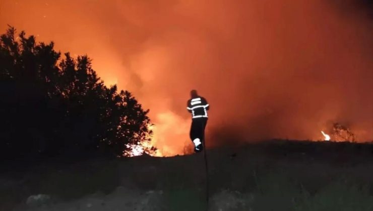 Antakya’daki Orman Yangını Büyümeden Söndürüldü