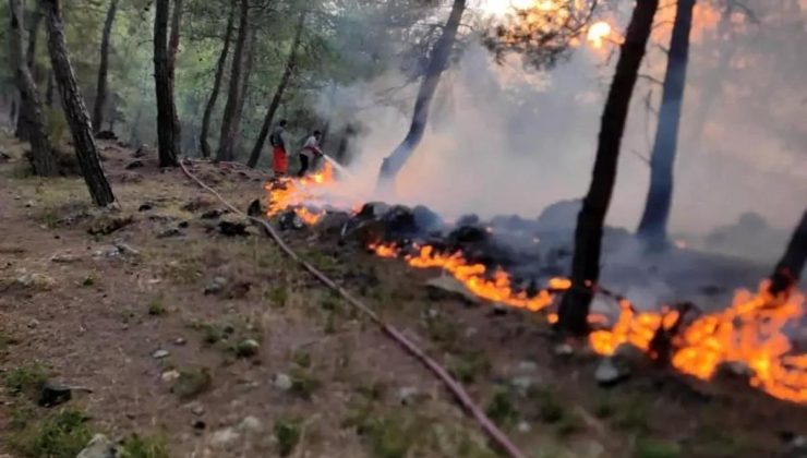 Hatay Yayladağı’nda Orman Yangını Denetim Altına Alındı