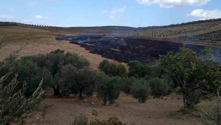 Hatay’da Anız Yangını Denetim Altına Alındı