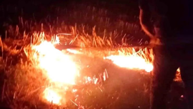 Hatay’da Anız Yangını Söndürüldü