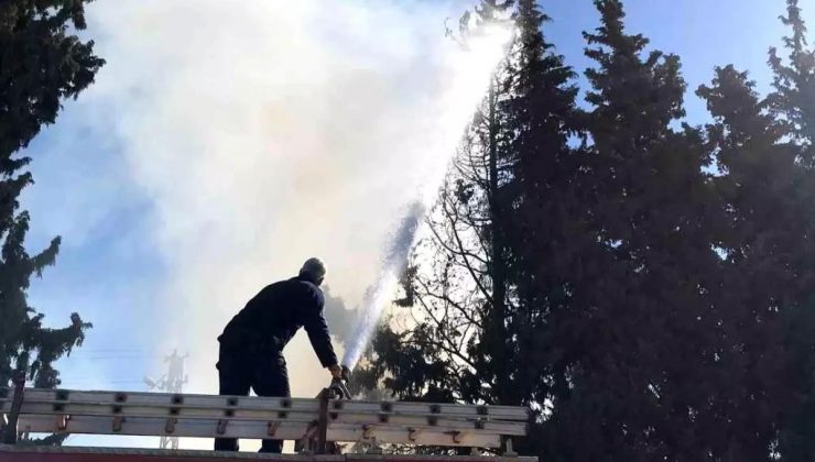 Hatay’da Çamlık Alanda Yangın Denetim Altına Alındı