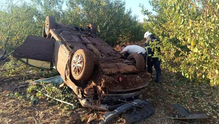 Hatay’da Meyve Bahçesine Uçan Arabanın Şoförü Yaralandı