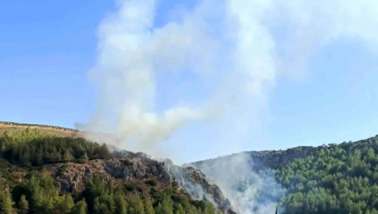 Hatay’da Orman Yangını Denetim Altına Alındı