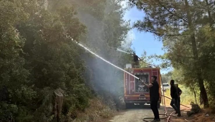 Hatay’da Orman Yangını Denetim Altında