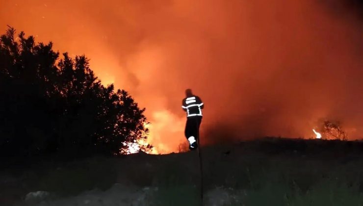 Hatay’da Orman Yangını Kısa Müddette Söndürüldü