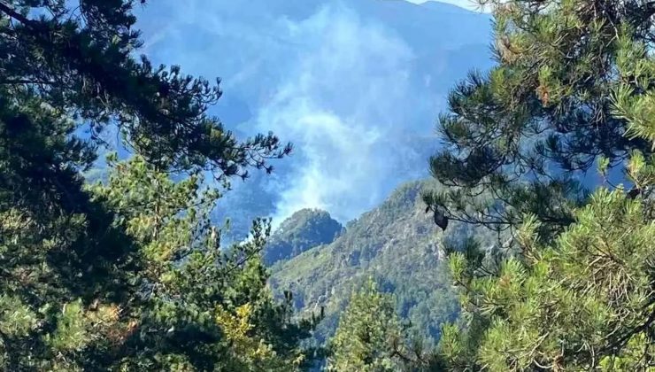 Hatay’da Orman Yangınına Hava ve Kara Müdahalesi