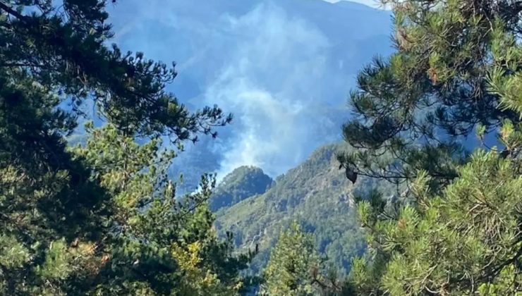 Hatay’da Orman Yangınına Havadan ve Karadan Müdahale Ediliyor