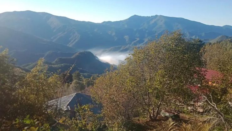 Hatay’da Orman Yangınına Müdahale Devam Ediyor