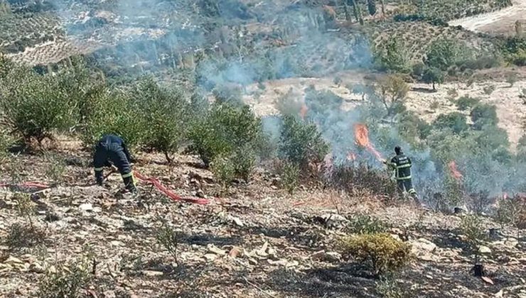 Hatay’da Zeytinlik Alanda Yangın Söndürüldü