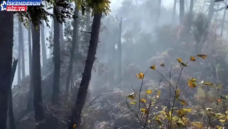 Hatay’daki Orman Yangınına Havadan ve Karadan Uğraş Sürüyor