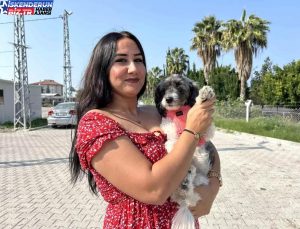 Sarsıntı Sonrası Sahiplendiği Köpeğiyle Yeni Hayat Gayreti