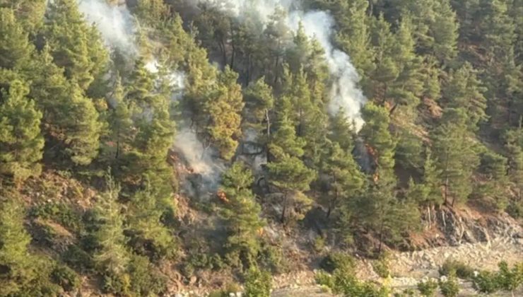 Yayladağı’ndaki Orman Yangını Süratle Söndürüldü