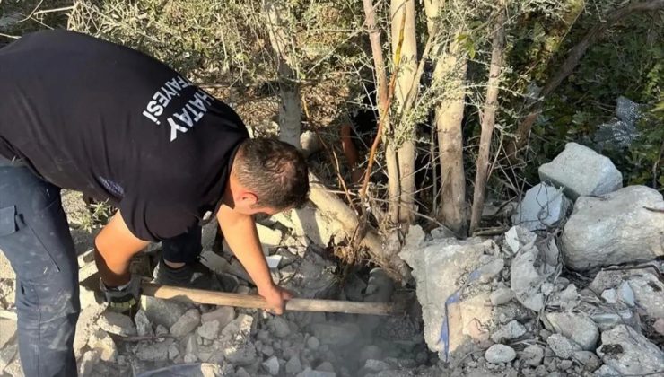 Defne’de Mahsur Kalan Kedi İtfaiye Gruplarınca Kurtarıldı