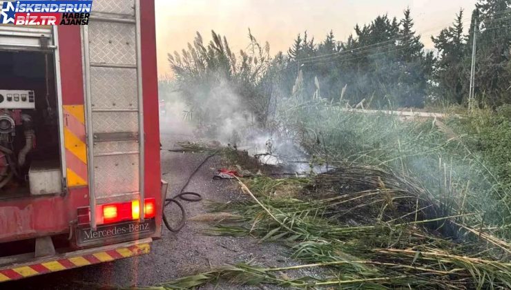 Hatay’da Dere Yatağında Yangın Çıktı