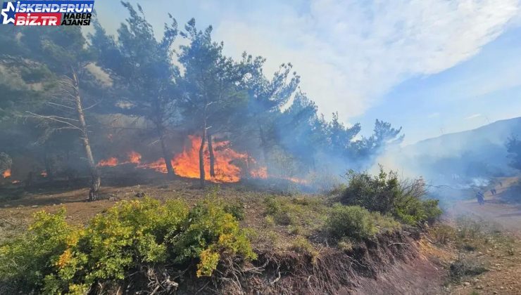 Hatay’da Orman Yangını 4 Konuta Sıçradı