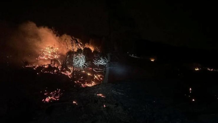 Hatay’da Orman Yangını: 5 Hektar Ziyan Gördü