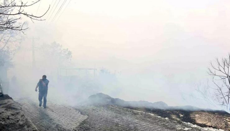 Hatay’da Orman Yangını Denetim Altına Alındı