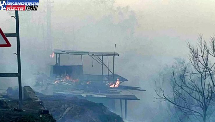 Hatay’da Orman Yangını Meskenleri Tehdit Ediyor