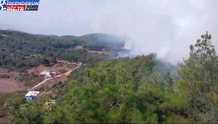 Hatay’da Orman Yangınına Müdahale Başladı