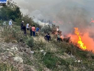 Hatay’da ormanda başlayan yangın meskenlere sıçradı