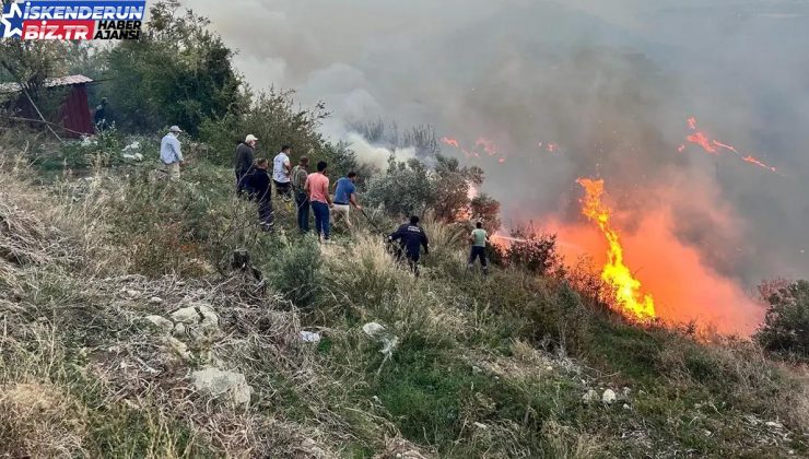 Hatay’da ormanda başlayan yangın meskenlere sıçradı