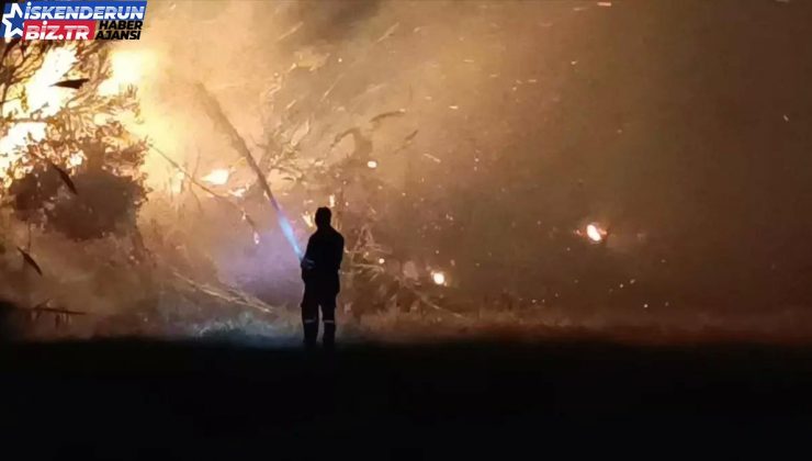 Hatay’da Sazlık Alanında Yangın Denetim Altına Alındı