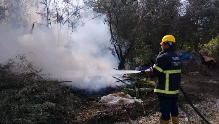 Hatay’da Zeytinlik Alanda Yangın Çıktı